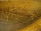 Тарелка декорат " Фазаны"Лимож 1876-1889,25см - вид 2