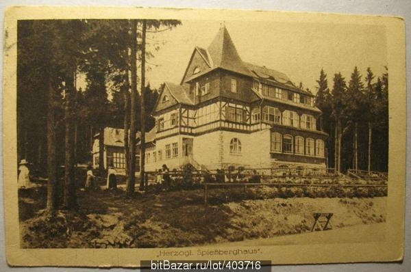 Герцогский дом в горах. Германия. 1921