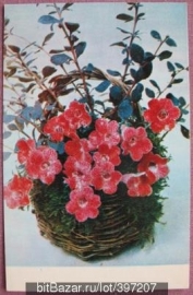 Букет цветов 1970 CCCP