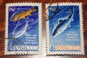 СССР 1962 Рыбы #2645,2646 Used