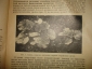 Бюллетень и журнал:Защита от вредителей,1925,1931г - вид 4