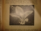 Бюллетень и журнал:Защита от вредителей,1925,1931г - вид 5