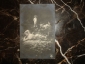 Старинная открытка (фотоколлаж) с налетом эротики ЛЮБОВНЫЕ ГРЕЗЫ , Германия - вид 1