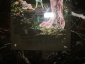 Старинная открытка (фотоколлаж) с налетом эротики ВОСПОМИНАНИЯ о ДЕТСТВЕ , Германия - вид 6