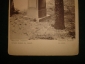 Старинная открытка в пользу общины св.Евгении.ВАРШАВА,Лазенки,статуя фавна в парке,Рос.Империя - вид 2