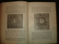 Ньюкомб,Энгельман.Астрономия 1896г. - вид 7