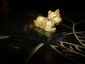 Старинная миниатюра на мраморе:Собака,венская бронза,3на1.5см, - вид 2