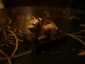 Старинная миниатюра на мраморе:Собака,венская бронза,3на1.5см, - вид 1