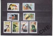 Куба 2011 Фауна птицы