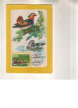 Календарик 1987 Филателия фауна птицы