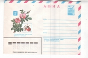ХМК СССР 1981 АВИА. Шиповник коричный