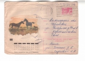 ХМК СССР 1972 Табун лошадей