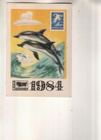 Календарик 1984 Филателия фауна дельфины