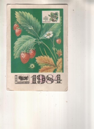 Календарик 1984 Филателия флора ягоды