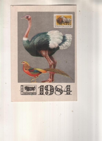 Календарик 1984 Филателия фауна птицы
