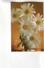 Календарик 1990 Цветы