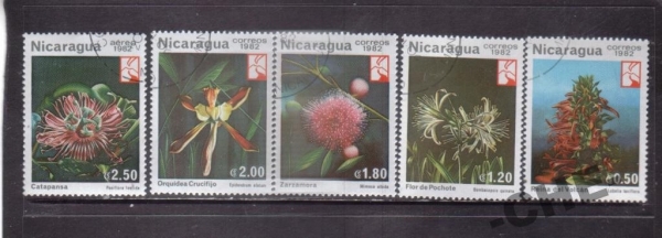 Никарагуа 1982 Цветы орхидеи