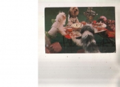 Календарик 1984 Цирк кошки собаки
