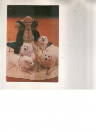 Календарик 1984 Цирк собаки
