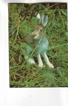 Календарик 1990 Фауна заяц
