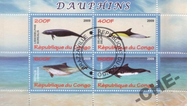 Конго 2009 дельфины