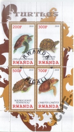 Руанда 2010 черепахи