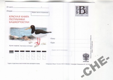 ПК с В Россия 2008 Фауна кулик-сорока птицы