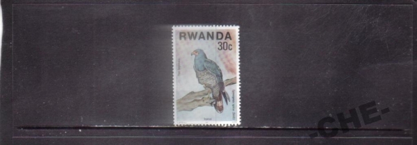 Руанда Фауна птицы