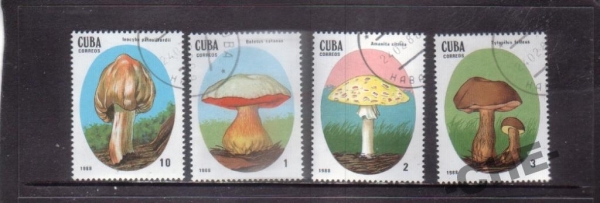 Куба 1988 Грибы