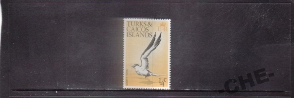 Turks & Caicos isl. Птицы