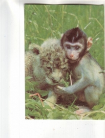 Календарик 1992 Фауна обезьяны кошки