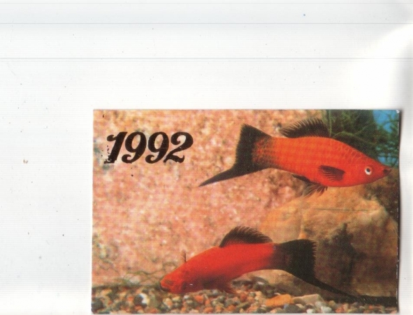 Календарик 1992 Аквариумные рыбы