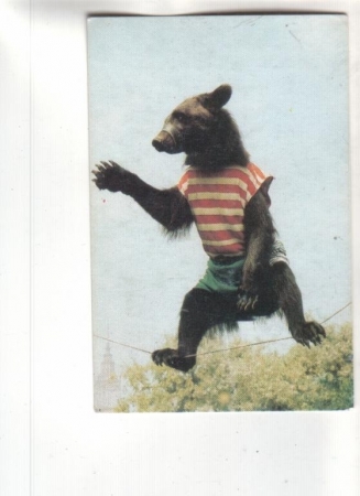 Календарик 1989 Цирк медведь