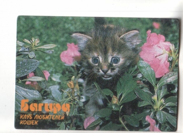 Календарик 1990 Кошка