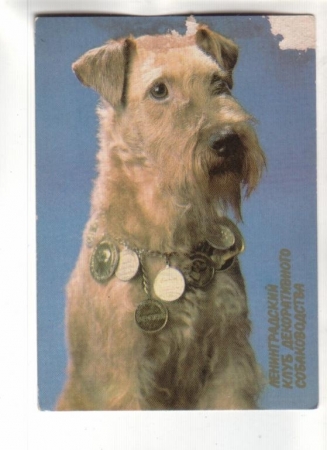 Календарик 1990 Собака