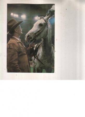 Календарик 1984 Цирк лошадь