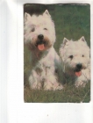 Календарик 1993 Собаки