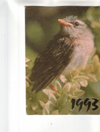 Календарик 1993 Фауна птицы