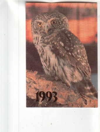 Календарик 1993 Фауна птицы сова