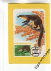 Календарик 1989 Фауна марка