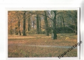 Календарик 1988 Осень
