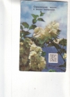 Календарик 1980 Страхование Госстрах цветы
