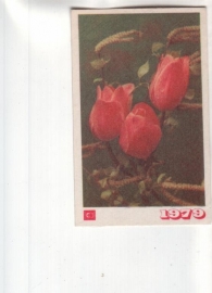 Календарик 1979 Цветы