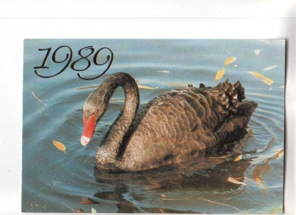 Календарик 1989 Фауна птицы