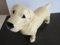 Собака Лабрадор ,авторская керамика,Вербилки - вид 2