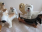 Смешные собаки,авторская керамика,Вербилки,на выбор - вид 1