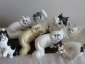 Коты разные,авторская керамика,Вербилки,на выбор - вид 1