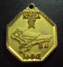 Спортивная медаль Корея.