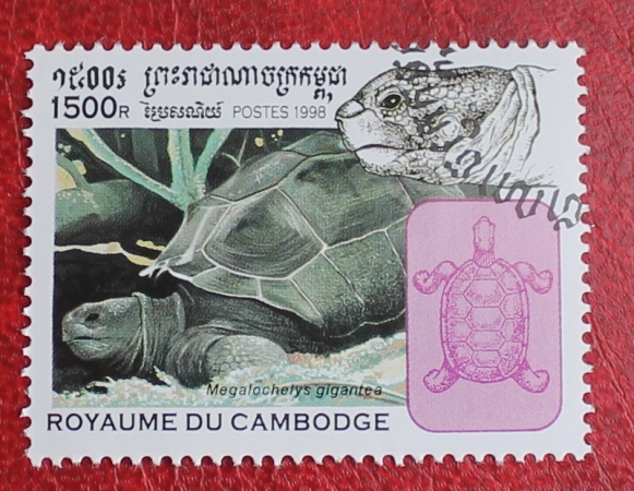 Камбоджа 1998 гигантская черепаха Sc#1769 Used