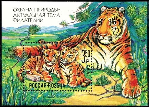 Россия 1992 год . Охрана природы . Сибирская Тигрица с тигрятами .